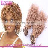 2016 Most Popular 100% 8 Inch Clip-in Human Hair Extensions Human Curly Blonde Clip in Hair Extensions for White Women thumbnail-1