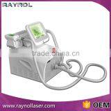 2 Handles Portable Cryolipolysis Weight Lose Weight Loss Body Slimming Machine Skin Lifting