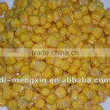 Vacuum Packed Canned Sweet Corn in 425ml thumbnail-1