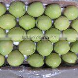 Shandong Pear thumbnail-4