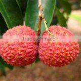 2016 Fresh Fruit Lichee From China thumbnail-2