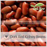 2015 Good Quality Dark Red Kidney Beans For Canning thumbnail-2