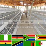 Trade assurance NO.1 Design 50000 chicken house 4tier poultry cage