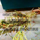 HONGXIN BRAND Pepper Picking Machine Red Chili Harvest Machine thumbnail-3
