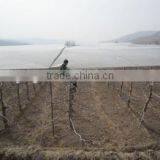 HDPE Anti-Hail Netting thumbnail-5