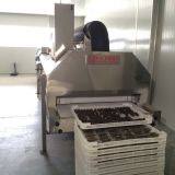 Cryogenic Freezer, Iqf Freezer, 300kg per Hour thumbnail-3