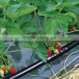 Water Saving Agricultural Drip Irrigation Hose with Cylindrical Emitter