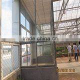 Plastic Film Horticultural Green House for Flower and Vegetable thumbnail-5