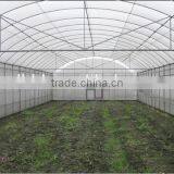 Single-Span Hot-Dip Galvanized Steel Pipe Frame 200mm PVC Film Covered Greenhouse thumbnail-3