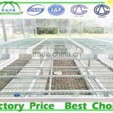 Commercial Frp Greenhouse for Agricultural thumbnail-5