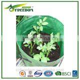 Plant Pot thumbnail-2