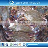 Gold Supplier Export Frozen Blue Crab Whole Round thumbnail-1