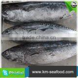 Carton or Woven Bag Packed Fat Content 16%-18% Seafish thumbnail-6