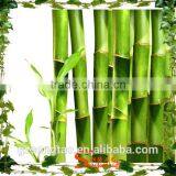 2015 Factory direct sale fake bamboo plants, artificial bamboo tree