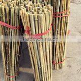 Excellent Quality Factory Price Garden Bamboo Canes for Sale thumbnail-2