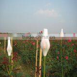 Soft Protection PE Plastic Sleeve Net for Flower Bud thumbnail-2