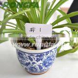 152mm Biodegradable Horticulture Plastic Labels thumbnail-6