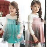 TOP quality new frozen Elsa dress wholesale dress for kids girls party dress