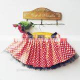 Polka Dot Tutu Adult Tutu Skirts Red Polka Dot Tutu Skirts thumbnail-1
