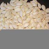 Sell Snow White Pumpkin Seeds thumbnail-1