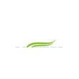 Bellinturf.Co.,Ltd