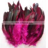 Wholesale 30-40cm Rooster Tail Feathers thumbnail-4