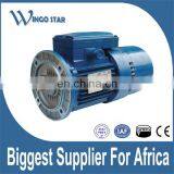 CAG HGIE2 Cast Iron Frame Three Phase Electric AC Induction Motor thumbnail-3
