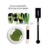 Nail Art Set 3D 5D 9d Cat Eyes Effect Magnetic Pigment Powder With Nail Magnet Set Sponge Stick thumbnail-2