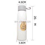 350ml Oem Cheap Plastic Wheat Straw Sport Water Cup Bottles With Handle thumbnail-4