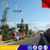 Professional Supplier Wind Solar Hybrid Street Light