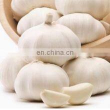 Pure White Fresh Garlic Chinese Garlic thumbnail-2