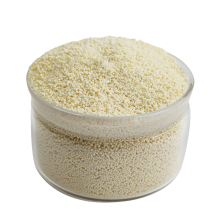 Gold Recovery Anion Exchange Resin from Cyanide Leach Solution
