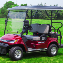 Global sales of golf carts, electric sightseeing vehicles, and electric trucks