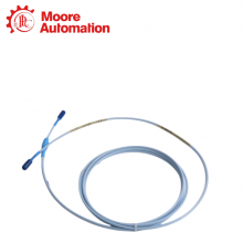 Bently Nevada 330130-030-00-00 thumbnail-2