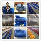 Different Color OEM Electric Motor For Your Own Brand China Factory thumbnail-6