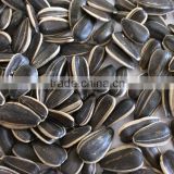 Chinese factories, sunflower seeds specifications
