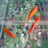 Glow Stone for Aquarium Decoration thumbnail-4