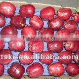 List of Vegetables of Red Apple thumbnail-1