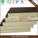 Professional phenolic film faced plywood/factory 18mm brown film faced plywood/good quality waterproof film faced plywood