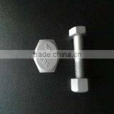 High quality hot dip galvanized bolt & nut