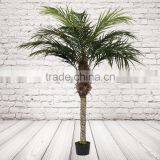 Artificial Phoenix Palm thumbnail-1