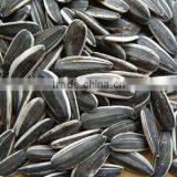 Sunflower Seeds of Price in China thumbnail-1