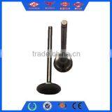 Single Cylinder Diesel Engine Valve Adjustment thumbnail-3