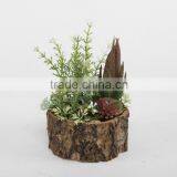 Indoor Mini Artificial Succulent in Resin Pots thumbnail-1
