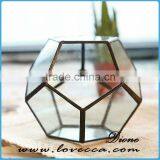 Hot Sale Indoor Plant Glass Terrarium Clear Glass Geometrical Hanging Terrarium-indoor Plant Pot Holders Glass Terrarium thumbnail-2