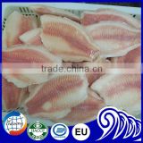 Wholesale seafood price frozen tilapia fillets for sale