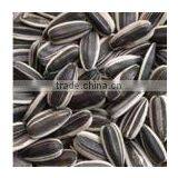 Black Sunflower Seeds thumbnail-1