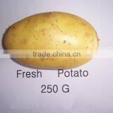 Chinese fresh potato planter supplying best quality potato