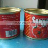 Canned Tomato Paste Tomato Puree Tomato Ketchup Tomato Paste in Drums thumbnail-2