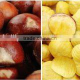 2015 New Organic Raw Chestnuts for Sale thumbnail-2